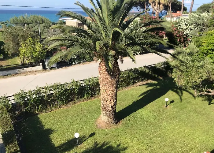 Diamantis * 卡尼奥提